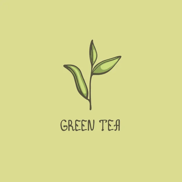Gröna teblad. Bokstäver ”grönt te”. Vektorillustration. — Stock vektor