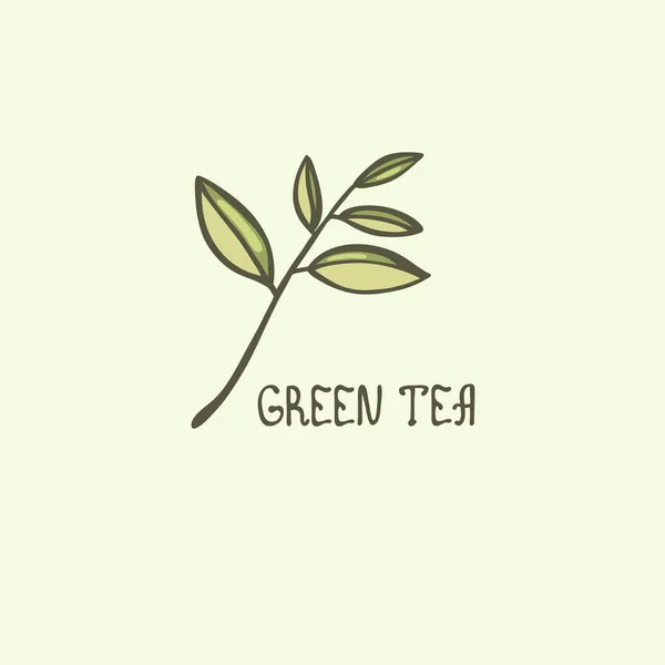 A leaf of green tea. Lettering. Vector illustration. — Stock Vector