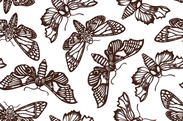 Padrão sem costura com borboletas noturnas em estilo retro. Fundo biológico com insetos. Mão desenhada. Ilustração vetorial . —  Vetores de Stock