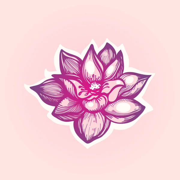 Lotus. Nelumbo. Flower isolated on a light background. Logo. Label. Vector illustration. Hand drawn. — Stock Vector