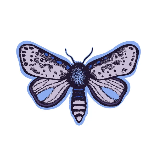 Moth. Vectorillustratie in kleur. Hand getrokken. — Stockvector