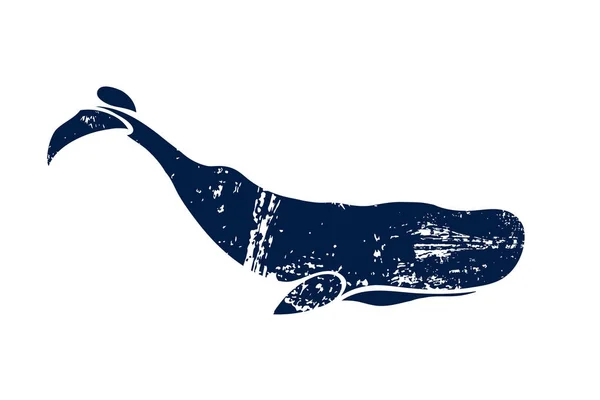Potvis. Physeter macrocephalus. Walvis geïsoleerd op een lichte achtergrond. Logo voor uw ontwerp. Inkt. Hand getrokken. — Stockvector