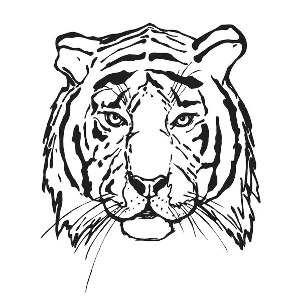 Tiger. Head. Wild animal. The logo for your design. Hand drawn. Vector illustration.