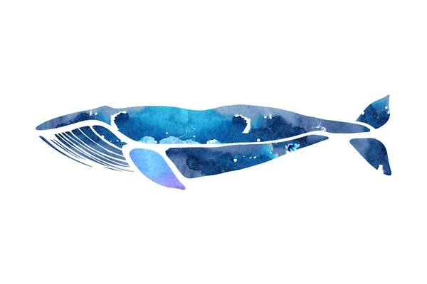 Blauwe vinvis. Balaenoptera musculus. Walvis geïsoleerd op een lichte achtergrond. Logo voor uw ontwerp. Hand getrokken. — Stockvector