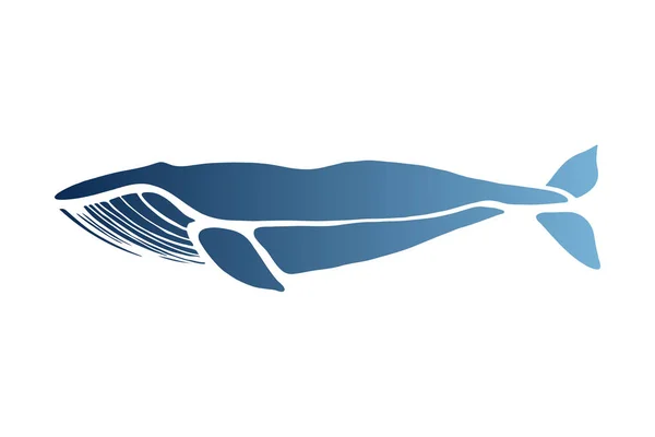 Blauwe vinvis. Balaenoptera musculus. Walvis geïsoleerd op een lichte achtergrond. Logo voor uw ontwerp. Hand getrokken. — Stockvector