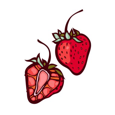 Çilek. Beyaz arka plan üzerinde izole çilek. Berry ve çilek yarısı. Etiket. Vektör çizim.