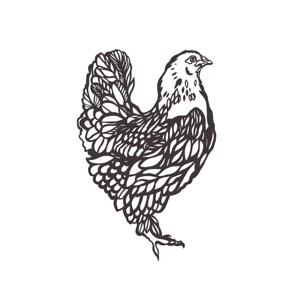 Pollo. Aves. Pájaro pintado con tinta. Etiqueta para productos de pollo. La agricultura. Crianza de ganado. Mano dibujada. Ilustración vectorial . — Vector de stock