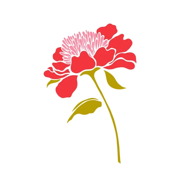 Paeonia. Peonía. Ilustración vectorial . — Vector de stock