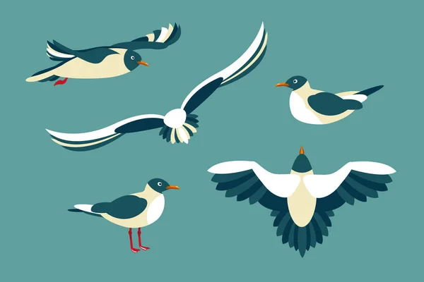Les mouettes. Ensemble d'oiseaux de mer dans le style de plat . — Image vectorielle