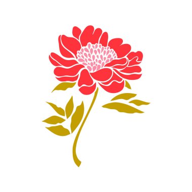 Şakayık. Beyaz arka plan üzerinde izole çiçek. Vektör çizim.