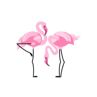 Pembe flamingolar beyaz arka plan üzerinde izole kuşların. Düz stil. Vektör çizim.
