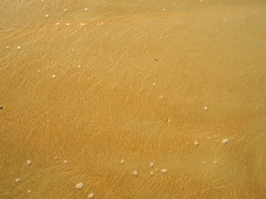 deniz sığ su ile kum