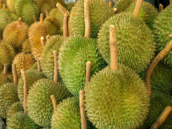 Закрытие свежего дуриана на рынке
