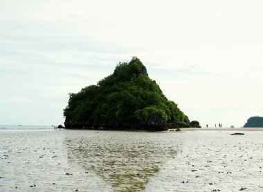 tropikal deniz ve su yansıma küçük yeşil ada