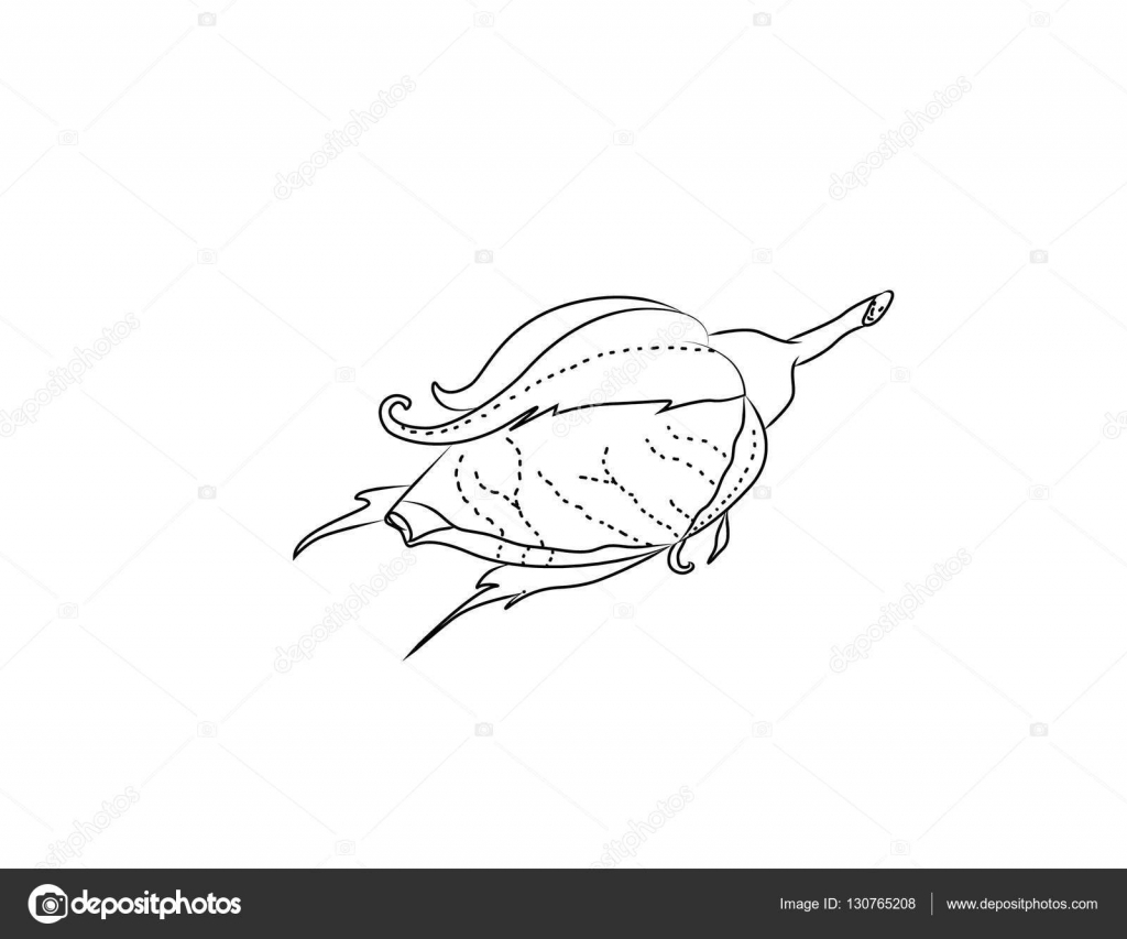 Bocciolo di rosa di vettore disegno struttura roses della mano — Vettoriale Stock