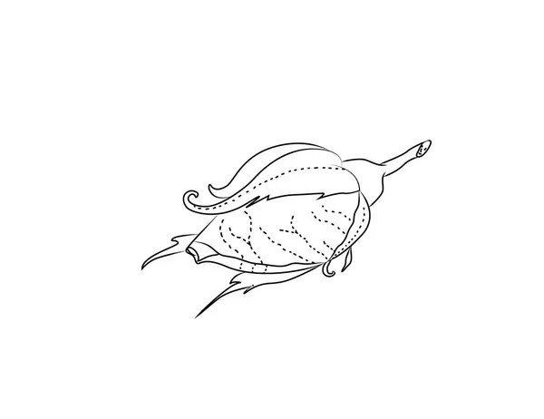 Bourgeon rose vecteur. dessin à la main rose contour — Image vectorielle