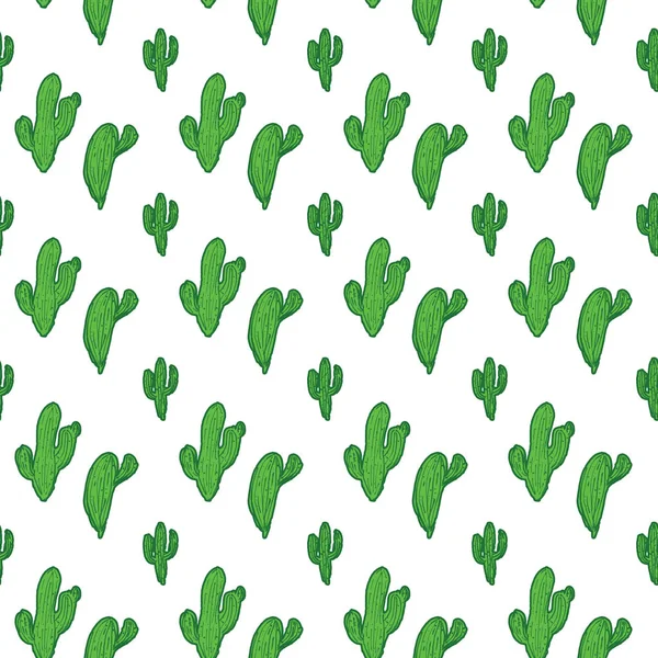 Naadloze patroon met cactus op witte achtergrond. — Stockfoto
