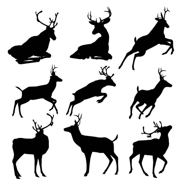 Set of deers vector silhouette illustration, isolated on white background. .