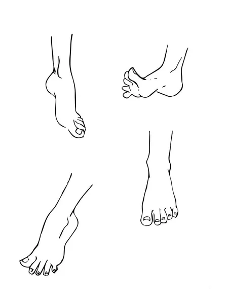 様々 なポーズで 4 の異なる足のセット. — ストックベクタ