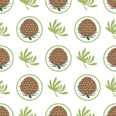 Çam kozalakları ile Seamless modeli. Köknar, sedir, Ladin ağacı arka plan. Eko etiket