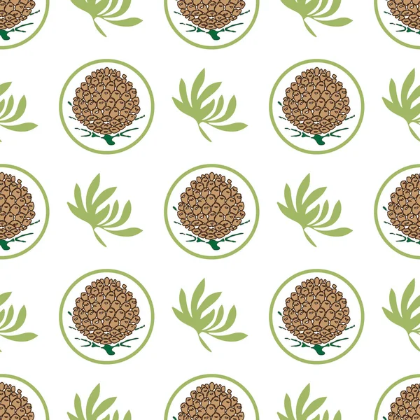 Çam kozalakları ile Seamless modeli. Köknar, sedir, Ladin ağacı arka plan. Eko etiket