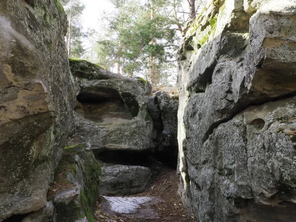 Kalksteen grot in een forest — Stockfoto