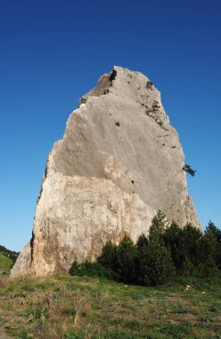 Bir köpek şeklinde duran kaya