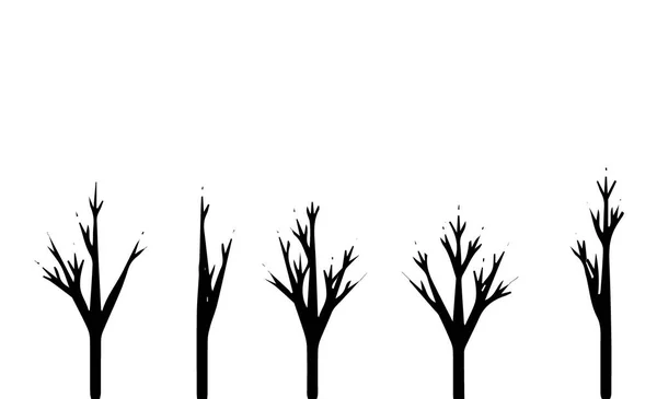 Arbres ensemble silhouette. Forêt de conifères. Arbre isolé sur fond blanc . — Image vectorielle