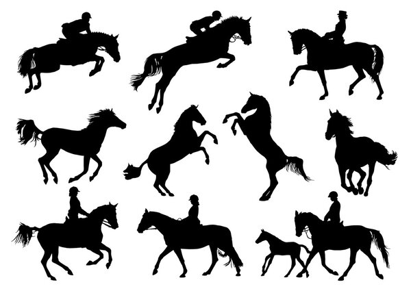 Horse  and riders