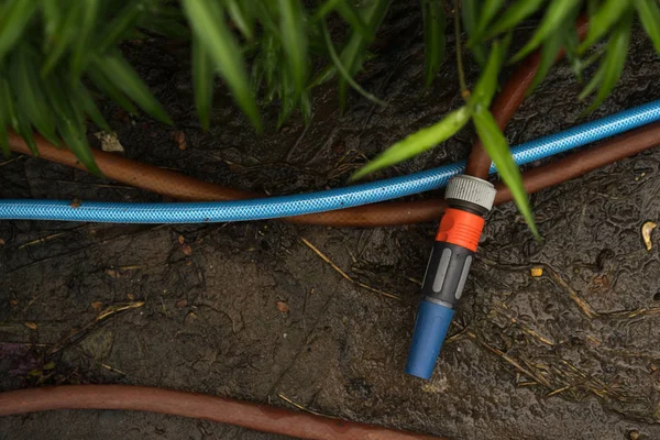 Bahçe Hortum yakın çekim