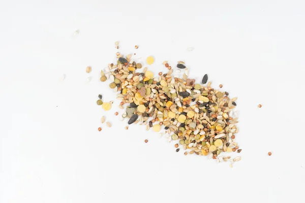 beyaz izole hamster gıda