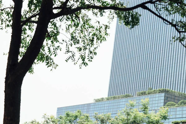 Ofis Binası ağaçlarıyla çevrili