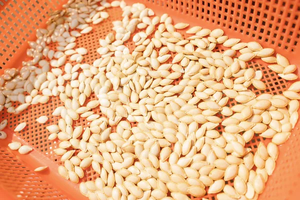 sepeti kabak çekirdeği