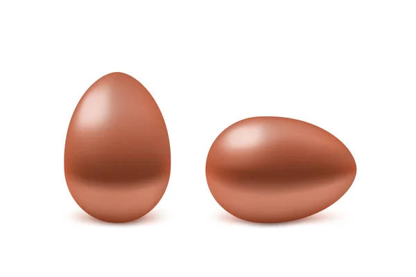 Two vector realistic bronze eggs — Stock Vector