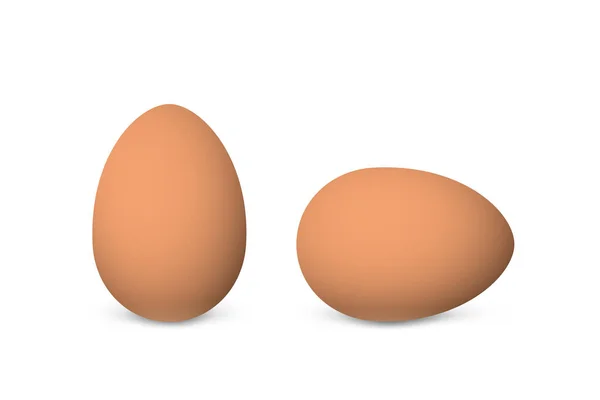 Two vector realistic brown eggs — Stock Vector