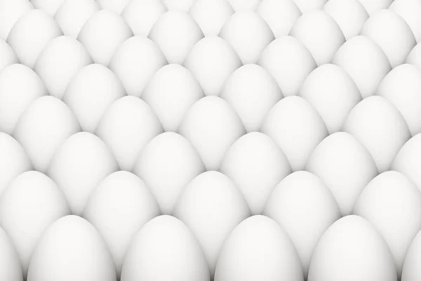 Group of white chicken eggs — Stock Vector