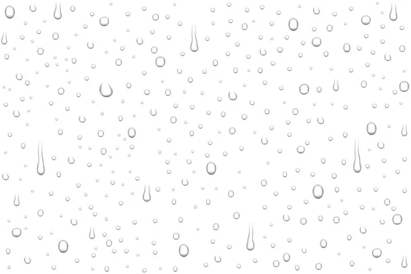 Vector realistic water drops — Stock Vector