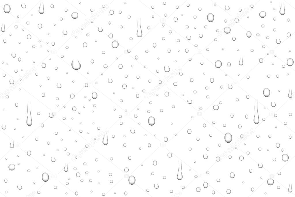 Vector realistic water drops