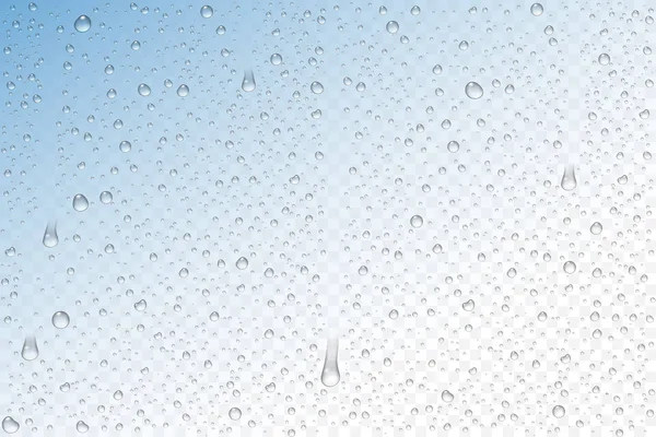 Vector realistic water drops condensed — Stock Vector