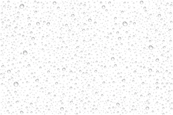 Gotas de água realistas vetoriais condensadas — Vetor de Stock