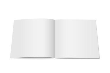 Vektör beyaz izole dergisi alay etmek yukarıya.