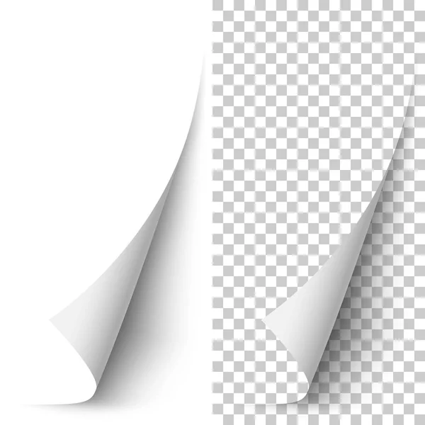 Vector blanco vertical esquina de papel enrollado — Archivo Imágenes Vectoriales