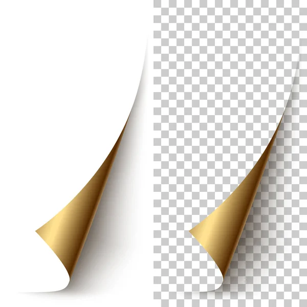 Angle de papier vertical à feuille d'or vectorielle enroulé — Image vectorielle