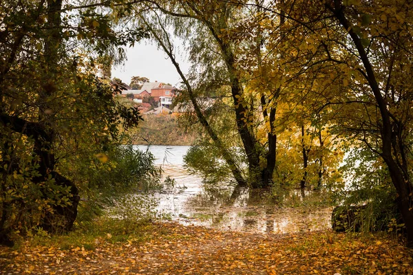 Inondation dans la forêt d'automne — Photo