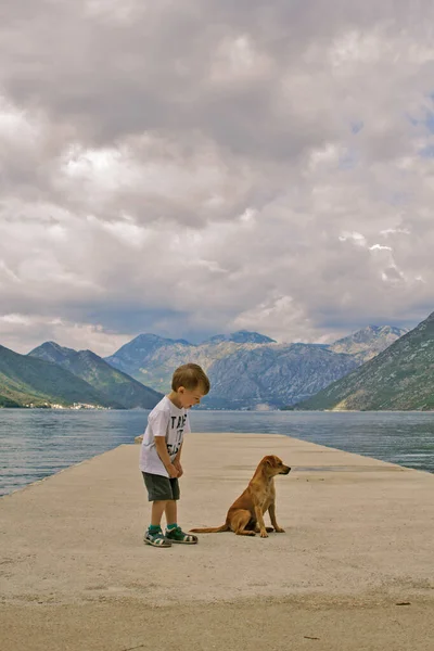 Petit garçon blond est heureux de rencontrer un chiot — Photo