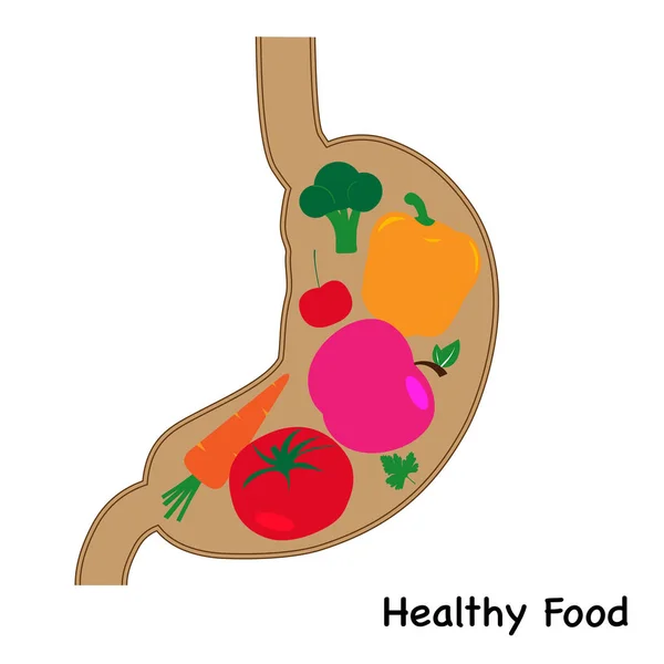 Estómago Humano Una Sección Estómago Está Lleno Alimentos Saludables Solicitar — Archivo Imágenes Vectoriales