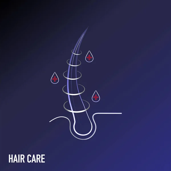 Haarwortel Haarverzorging Een Foto Van Procedures Voor Het Versterken Van — Stockvector