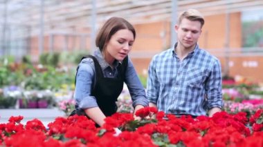 Bahçıvanlar çiçekler ile çalışma