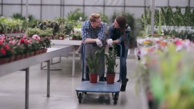 Çalışmaları sırasında konuşurken çiçekçi.