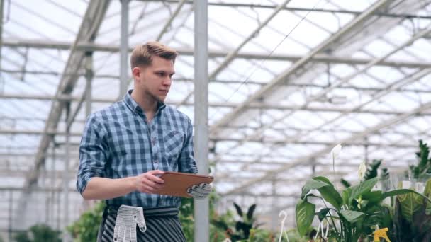 Květinářství s digitálním tabletu ve skleníku. — Stock video